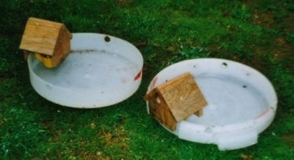 bañeras para canarios con autollenado