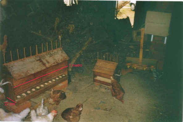 comederos para gallinas